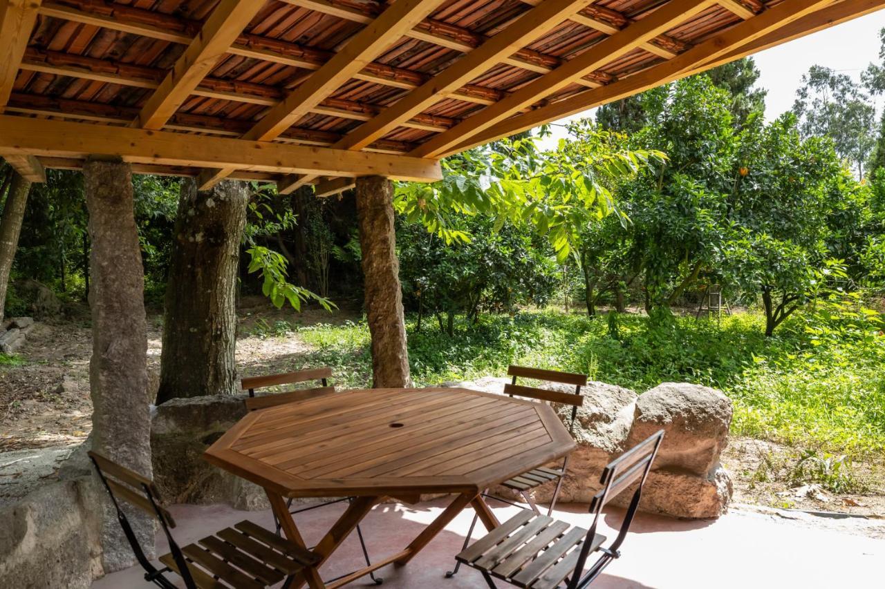 Casas Do Capitao - Paiva Valley - Pool And Nature Castelo de Paiva Eksteriør billede